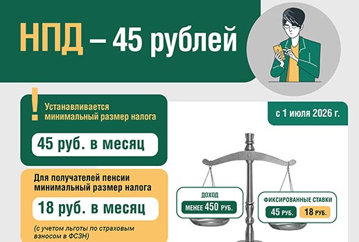 Инфографика по НПД