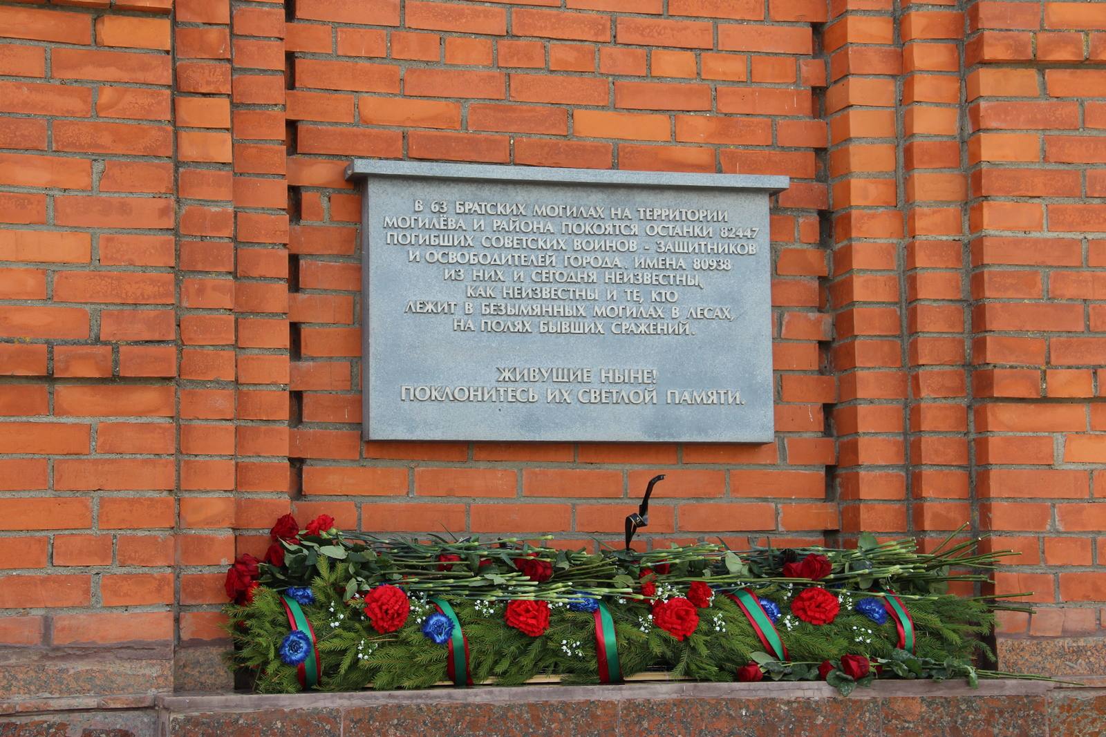 image_5