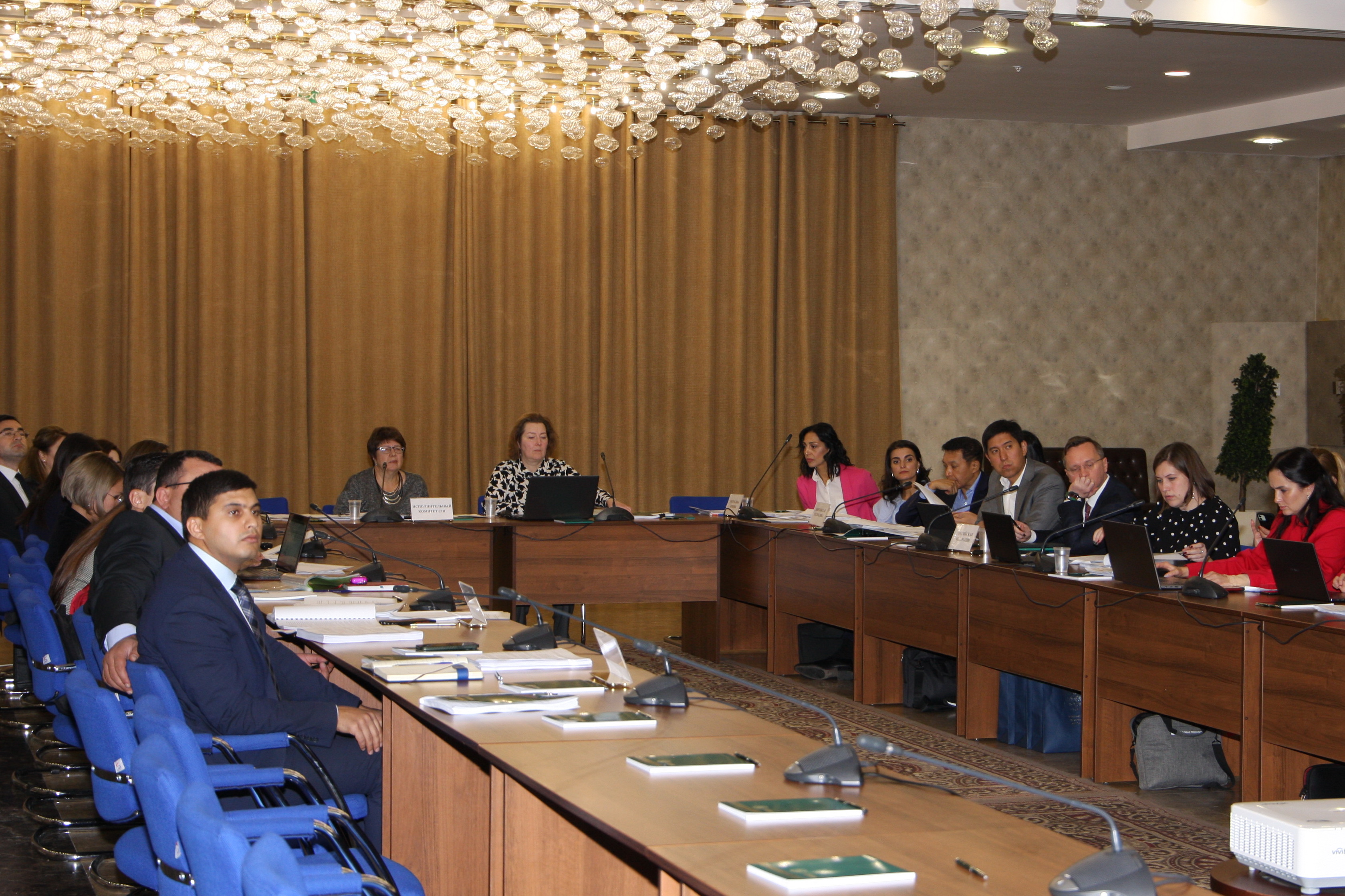 XXIX заседание экспертов Координационного совета руководителей налоговых служб государств-участников СНГ