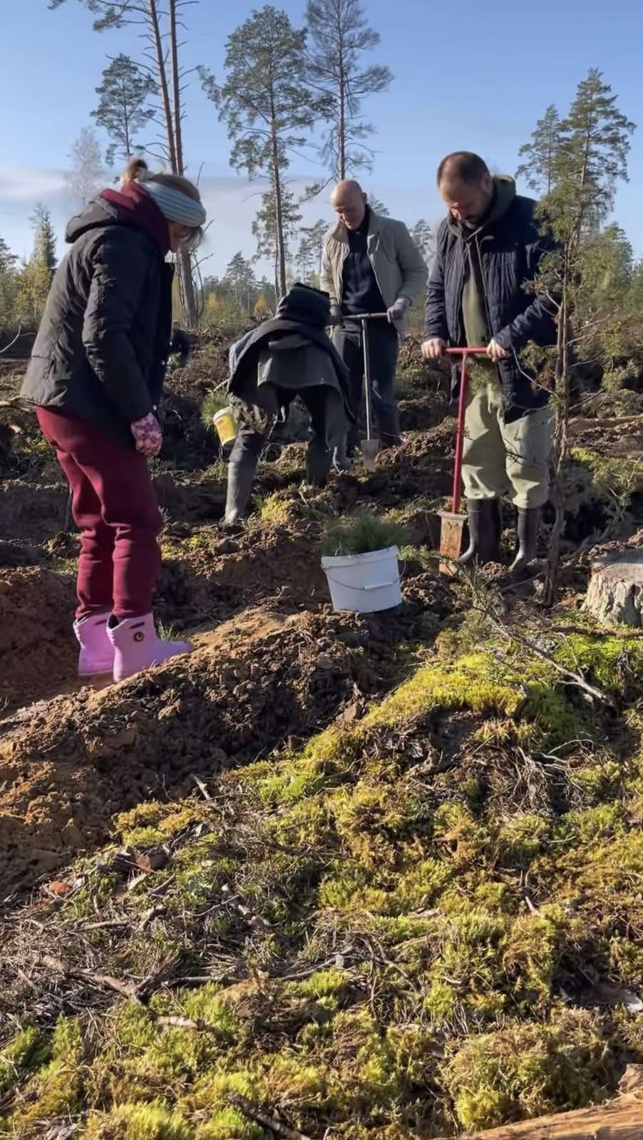 slider-image